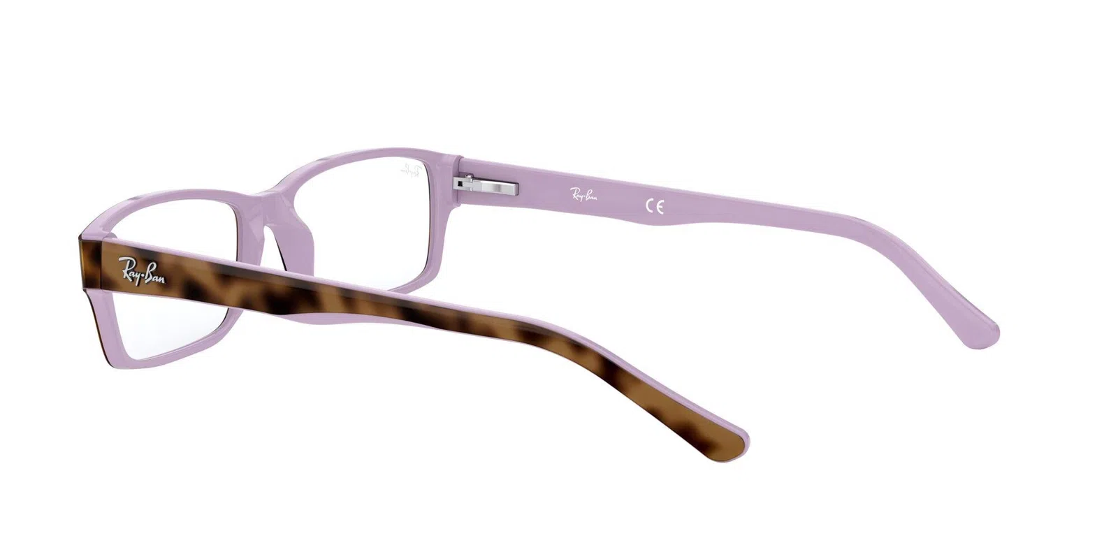 Ray-Ban 5169 Eyeglasses - view 64
